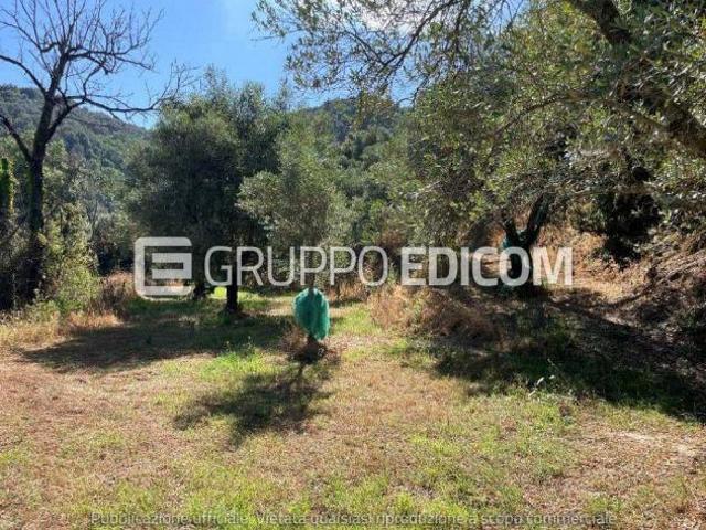 Terreno in vendita a Calabria, Reggio Calabria