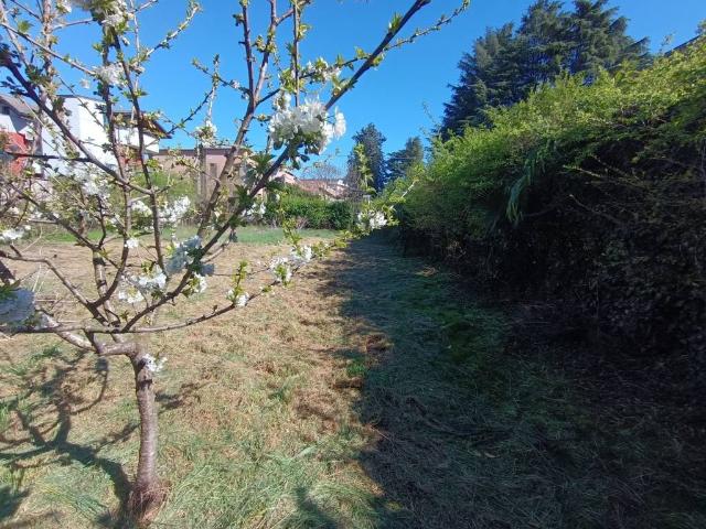 Terreno in vendita a Gallarate, Lombardia