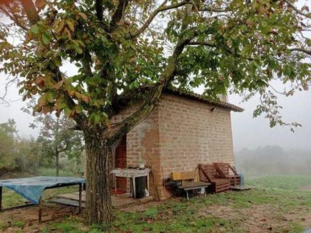 Terreno in vendita a Gallese, Lazio