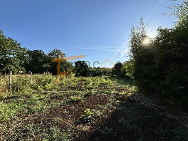 Terreno in vendita a Roma Capitale, Lazio