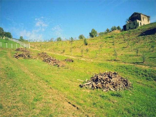 Terreno in vendita a Gallinaro, Lazio