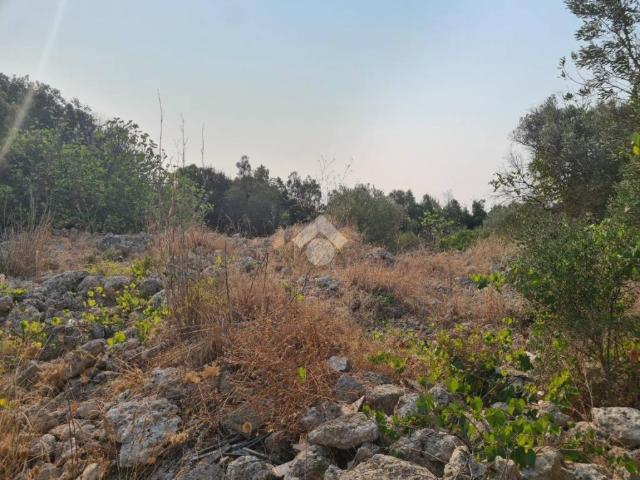 Terreno in vendita a Puglia, Lecce