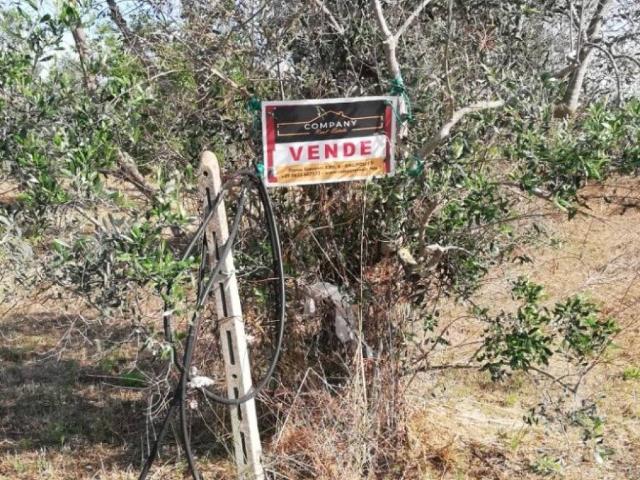 Terreno in vendita a Puglia, Lecce