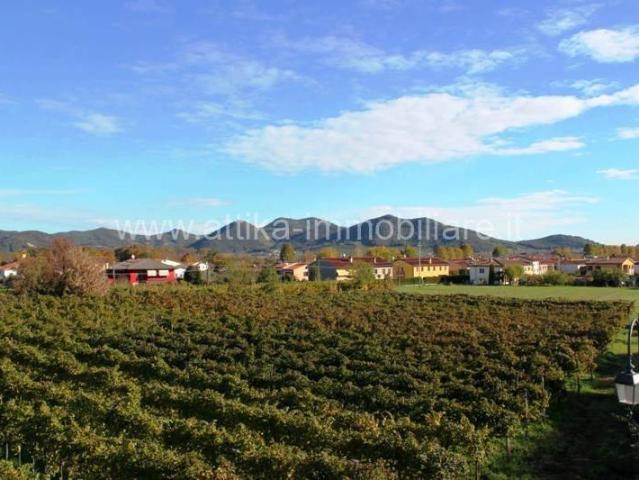 Terreno in vendita a Galzignano Terme, Veneto