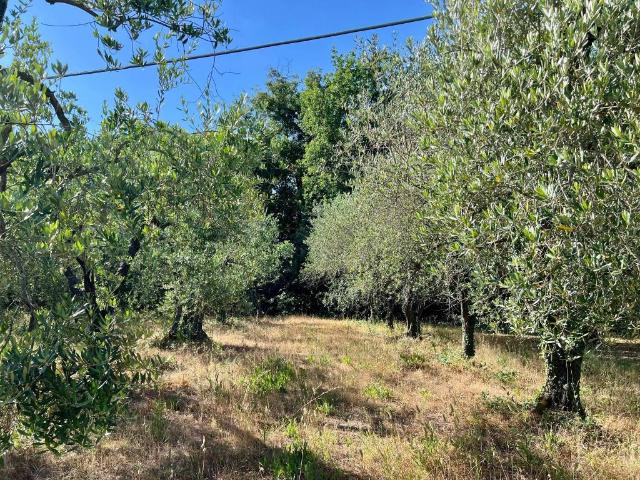 Terreno in vendita a Unione dei Comuni Circondario dell'Empolese Valdelsa, Gambassi Terme
