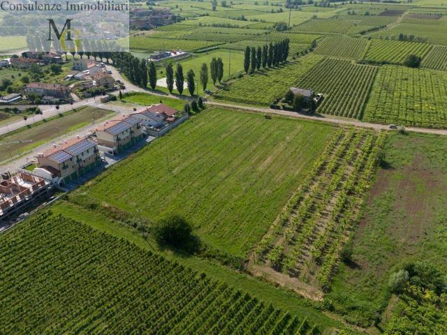 Terreno in vendita a Gambellara, Veneto