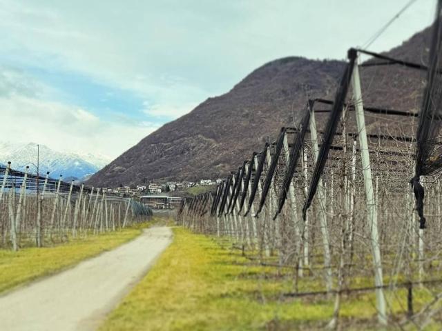 Terreno in vendita a Burggrafenamt - Burgraviato, Gargazzone - Gargazon