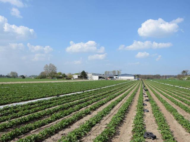 Terreno in vendita a Burggrafenamt - Burgraviato, Lana
