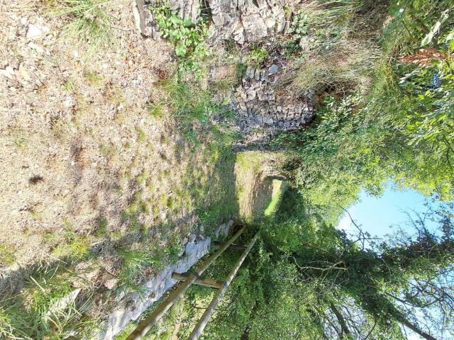 Terreno in vendita a Comunità Montana Parco Alto Garda bresciano, Gargnano