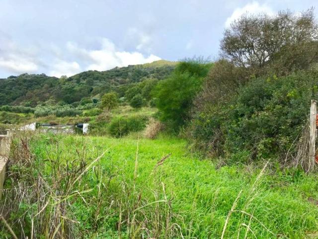 Terreno in vendita a Calabria, Catanzaro