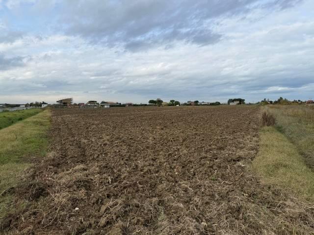 Terreno in vendita a Sant Angelo, Gatteo