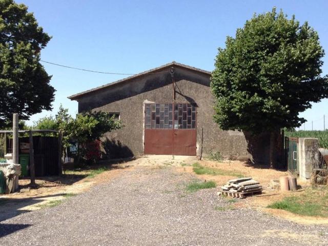 Terreno in vendita a Gavello, Veneto
