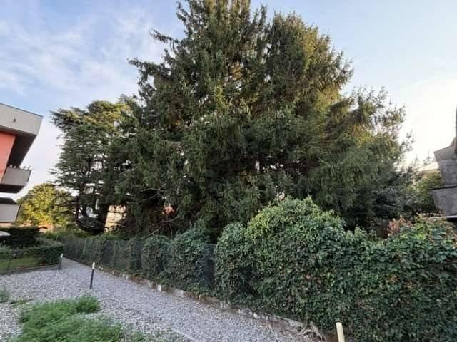 Terreno in vendita a Comunità Montana Valli del Verbano, Gavirate