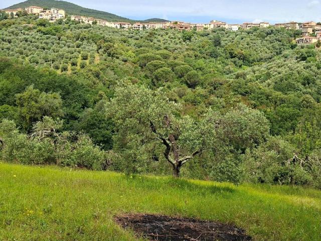 Terreno in vendita a Bivio Di Ravi, Toscana