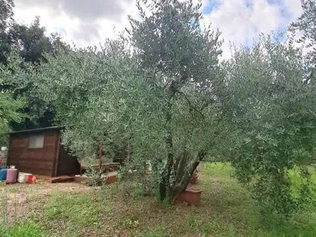 Terreno in vendita a Bivio Di Ravi, Toscana