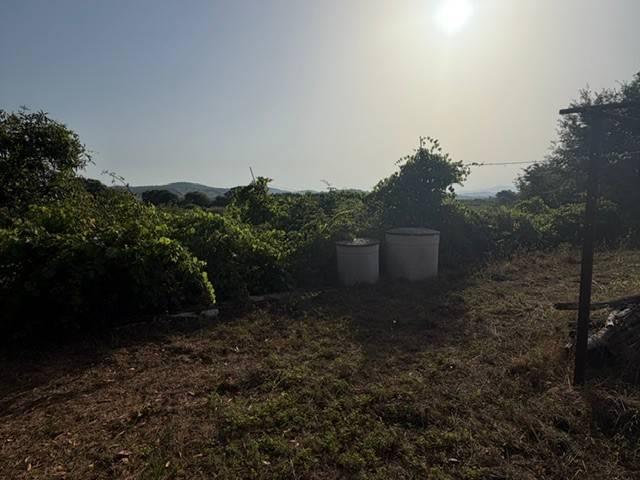 Terreno in vendita a Ravi, Gavorrano