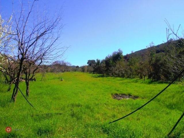 Terreno in vendita a Bivio Di Ravi, Toscana