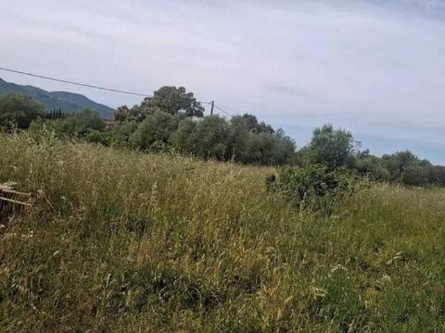 Terreno in vendita a Bivio Di Ravi, Toscana