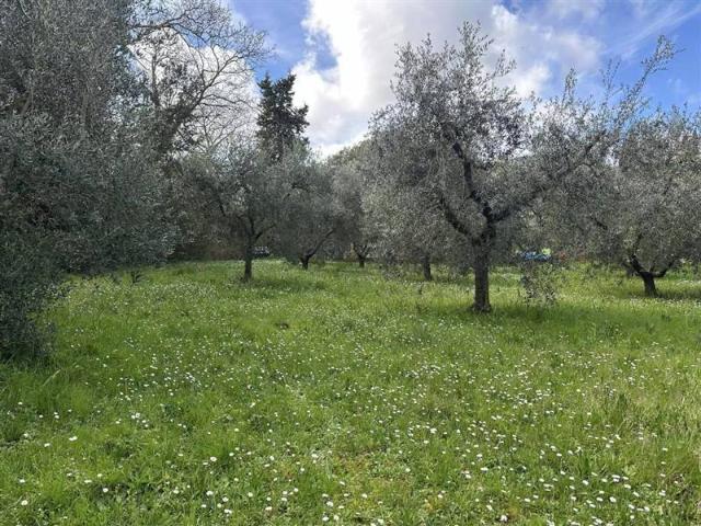 Terreno in vendita a Bivio Di Ravi, Toscana