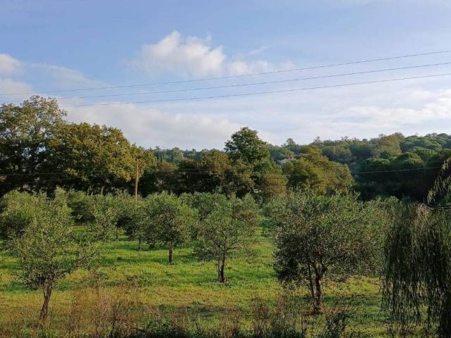 Terreno in vendita a Bivio di Ravi, Bivio Di Ravi