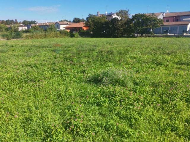 Terreno in vendita a Gazoldo degli Ippoliti, Mantova
