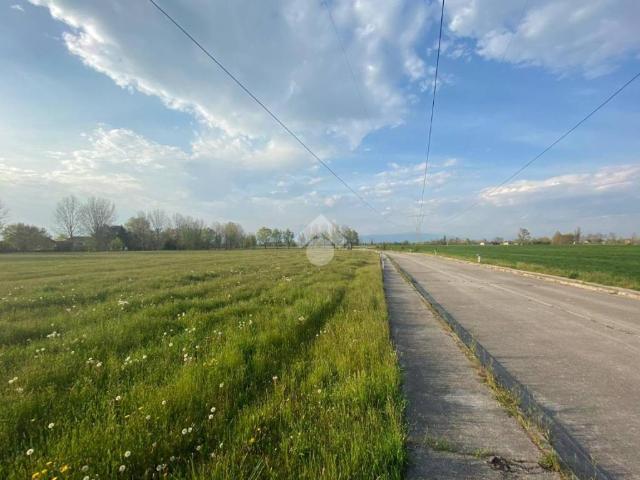Terreno in vendita a Gazzo Padovano, Veneto