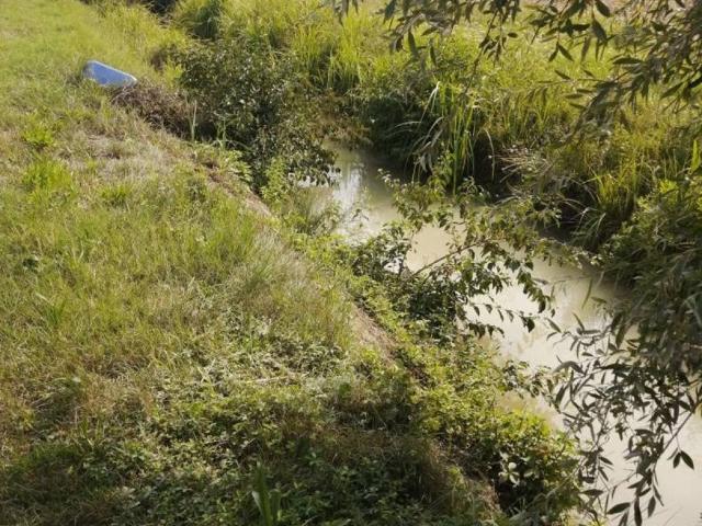 Terreno in vendita a Gazzo Veronese, Maccacari