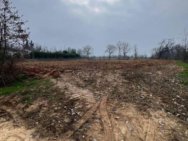 Terreno in vendita a Gazzola, Reggio Emilia