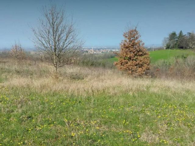 Terreno in vendita a Gazzola, Reggio Emilia