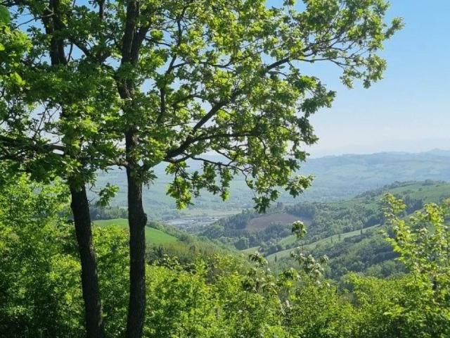 Terreno in vendita a Gemmano, Reggio Emilia
