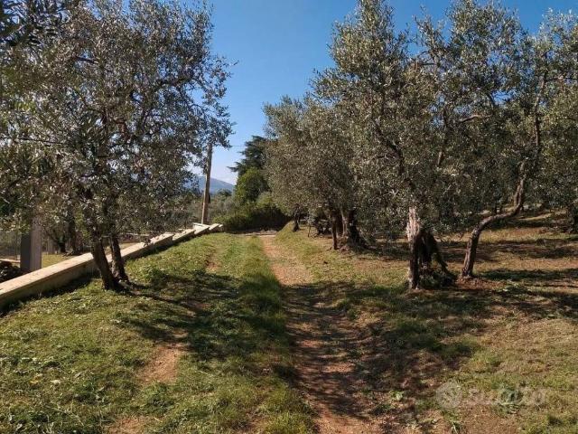 Terreno in vendita a Genazzano, Roma Capitale