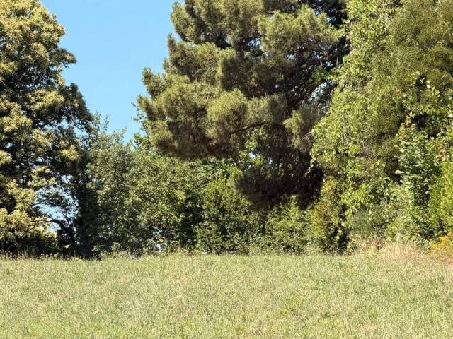 Terreno in vendita a Roma Capitale, Lazio