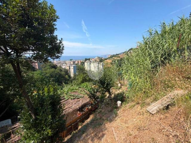 Terreno in vendita a Ponente, Serra Riccò