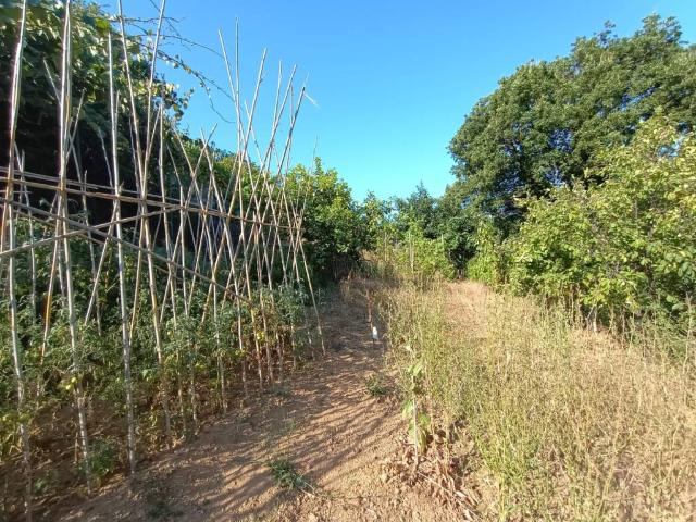 Terreno in vendita a Medio Ponente, Serra Riccò