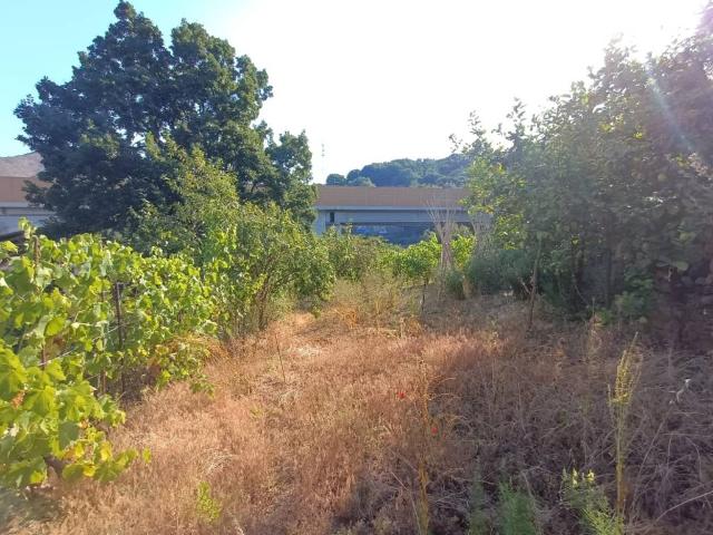 Terreno in vendita a Medio Ponente, Serra Riccò