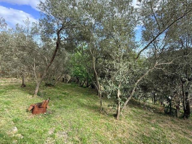 Terreno in vendita a Media Val Bisagno, Serra Riccò