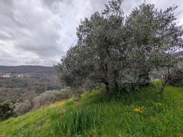 Terreno in vendita a Media Val Bisagno, Serra Riccò