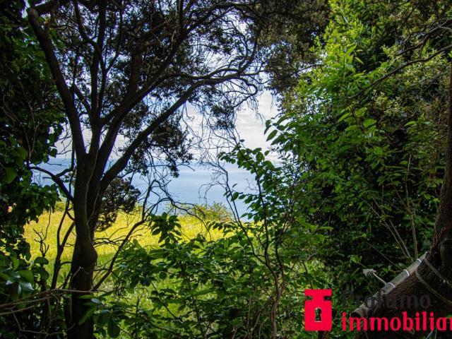 Terreno in vendita a Ponente, Serra Riccò