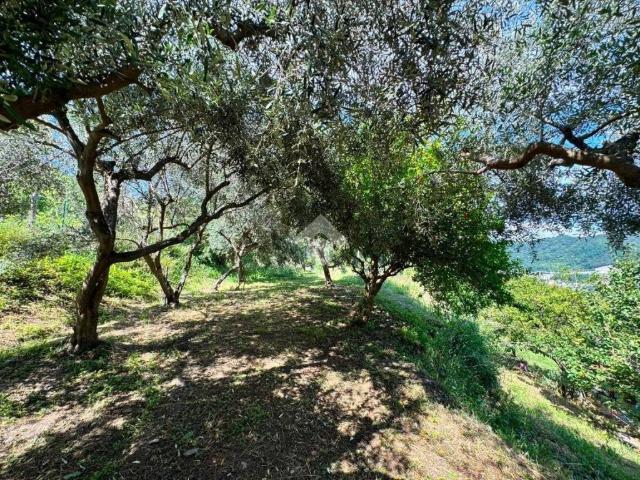 Terreno in vendita a Medio Ponente, Serra Riccò