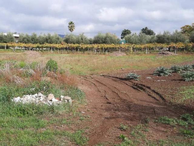 Terreno in vendita a Roma Capitale, Lazio