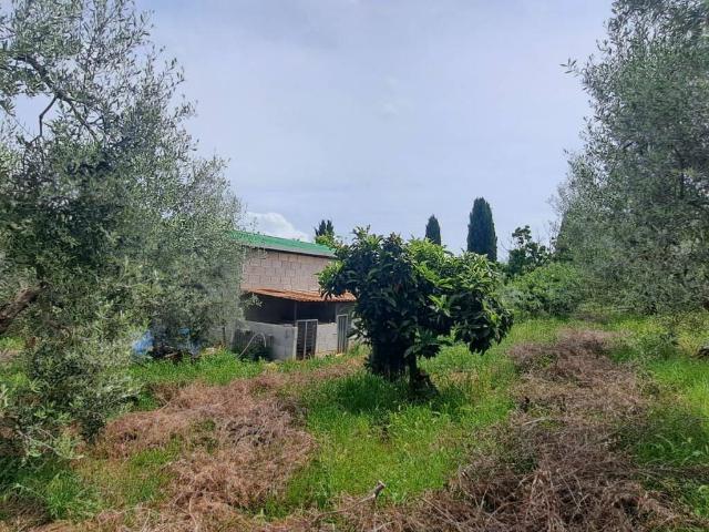 Terreno in vendita a Roma Capitale, Lazio