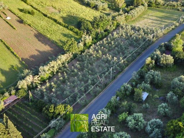 Terreno in vendita a Landi, Roma Capitale