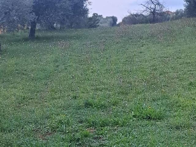 Terreno in vendita a Roma Capitale, Lazio