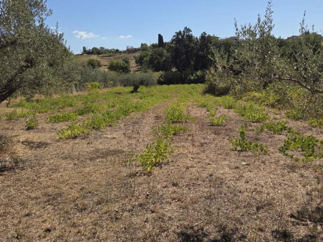 Terreno in vendita a Landi, Roma Capitale