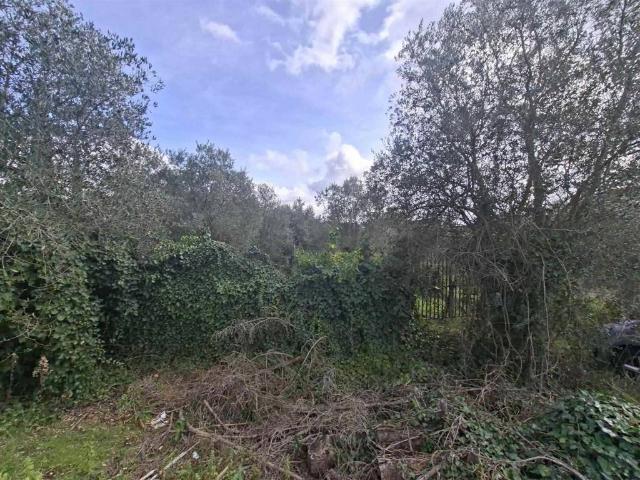 Terreno in vendita a Landi, Roma Capitale