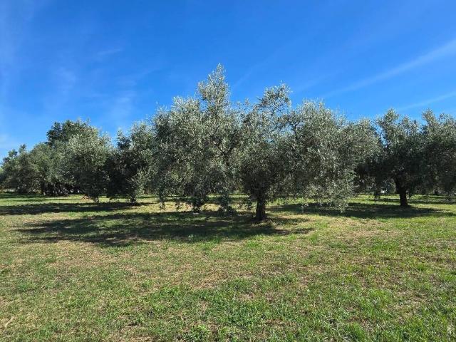 Terreno in vendita a Montecagnoletto, Roma Capitale