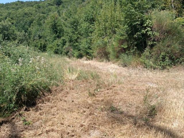 Terreno in vendita a Roma Capitale, Lazio