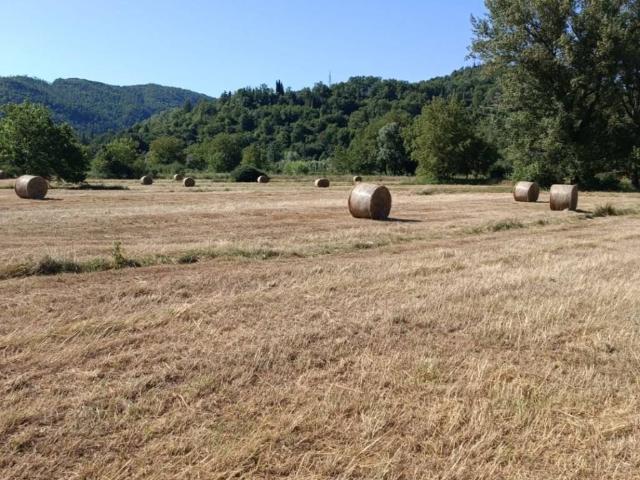 Terreno in vendita a Roma Capitale, Lazio