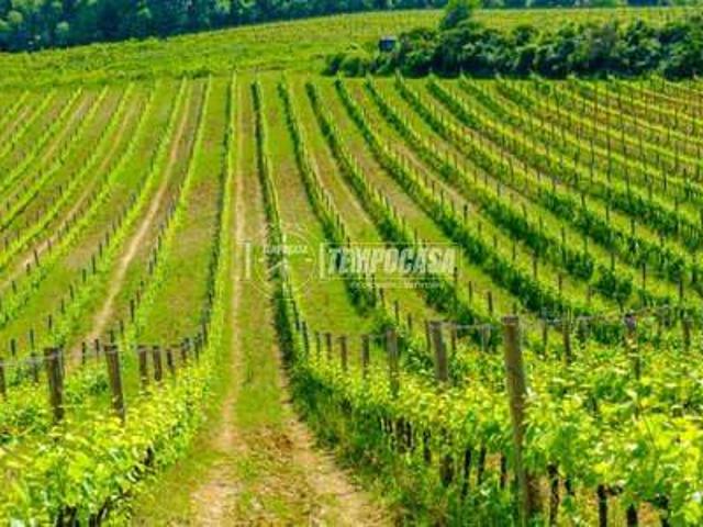 Terreno in vendita a Gerenzano, Lombardia