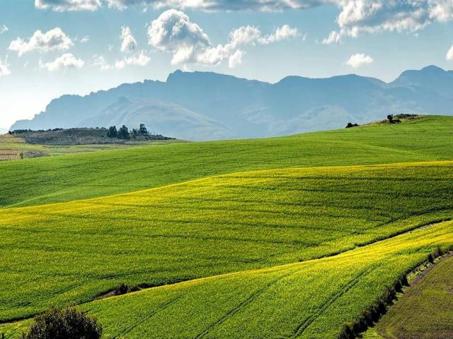 Terreno in vendita a Gessate, Lombardia